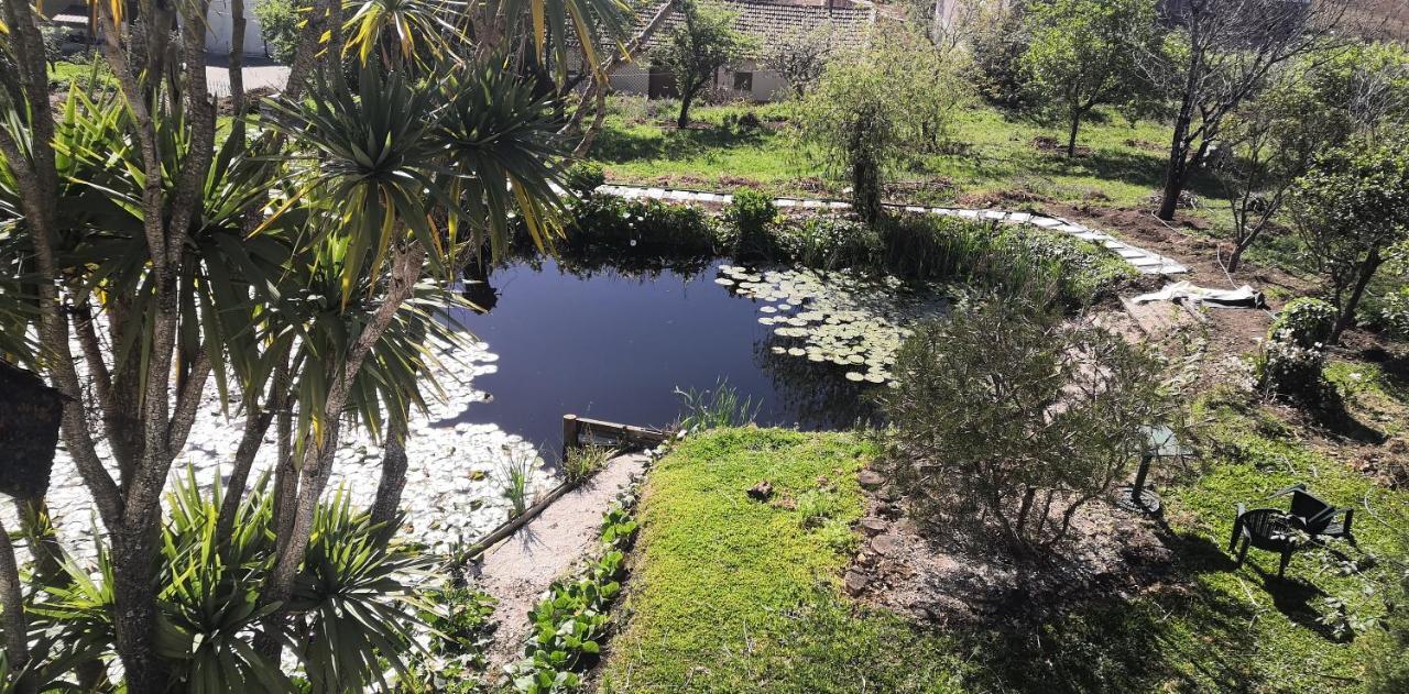 Quinta Do Soldado Holiday home *